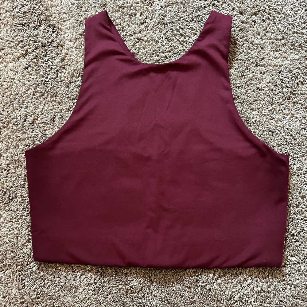 Girlfriend Collective Burgundy Sports Bra